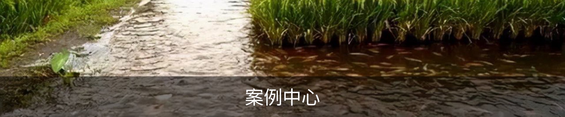 案例中心